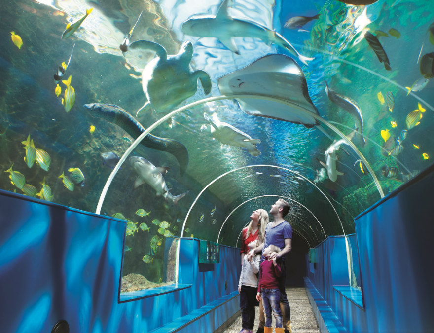 What To Do in Bournemouth Marsham Court Hotel